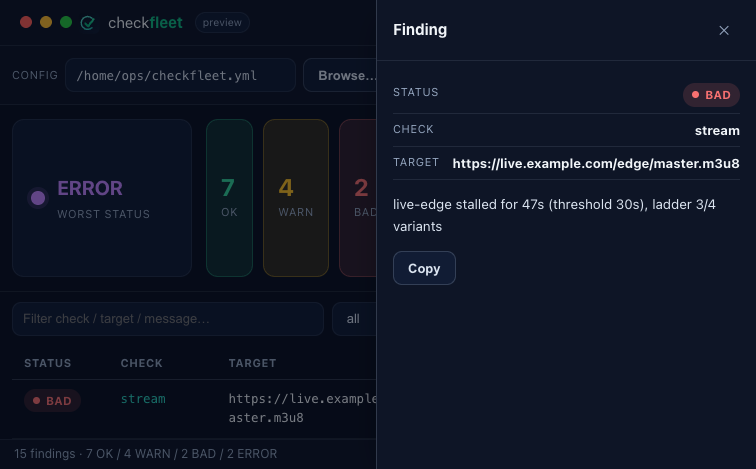 checkfleet desktop — finding detail drawer